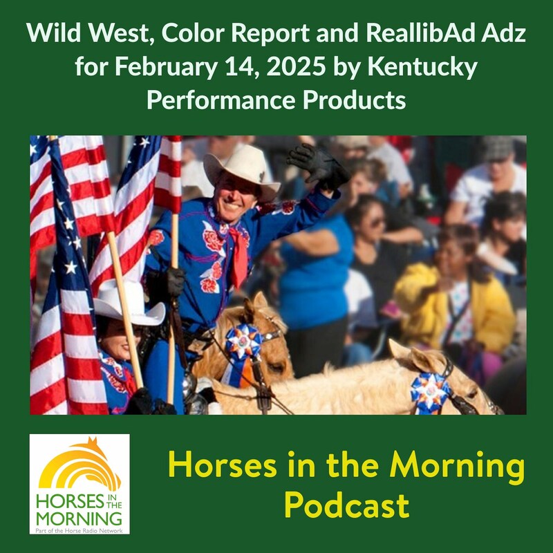Artwork for podcast Horses in the Morning