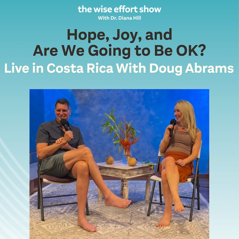 Artwork for podcast The Wise Effort Show