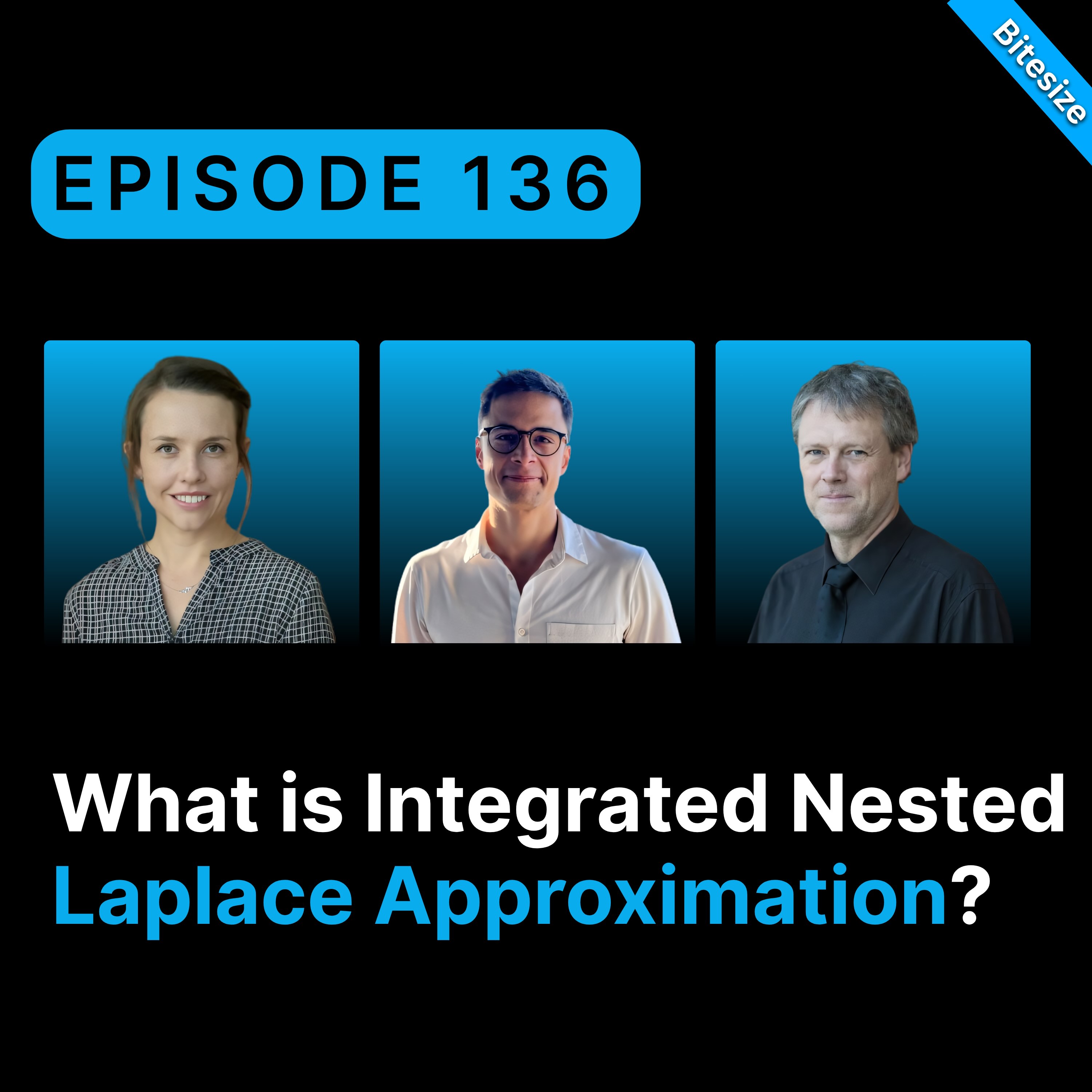 BITESIZE | How to Make Your Models Faster, with Haavard Rue & Janet van Niekerk