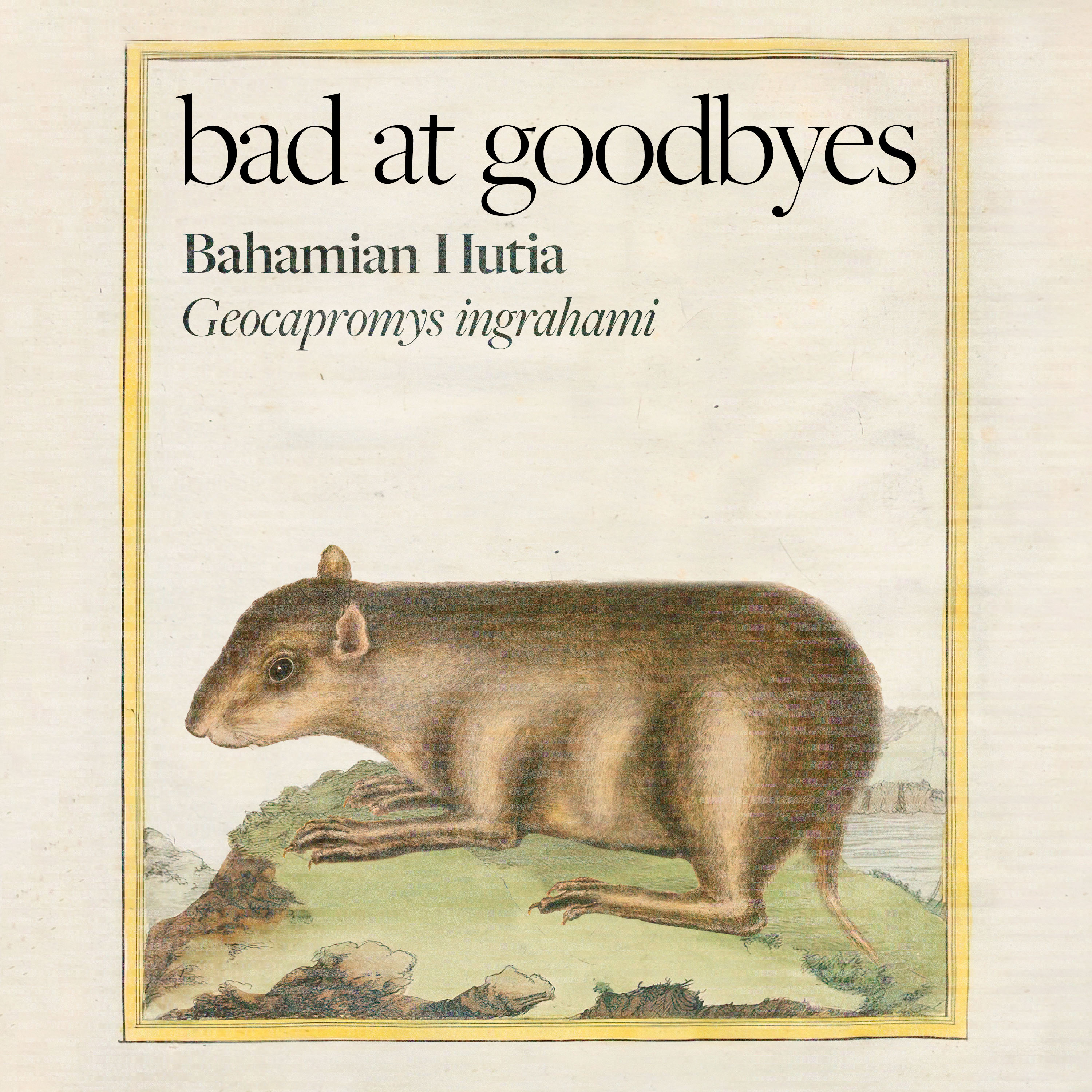 Bahamian Hutia episode artwork