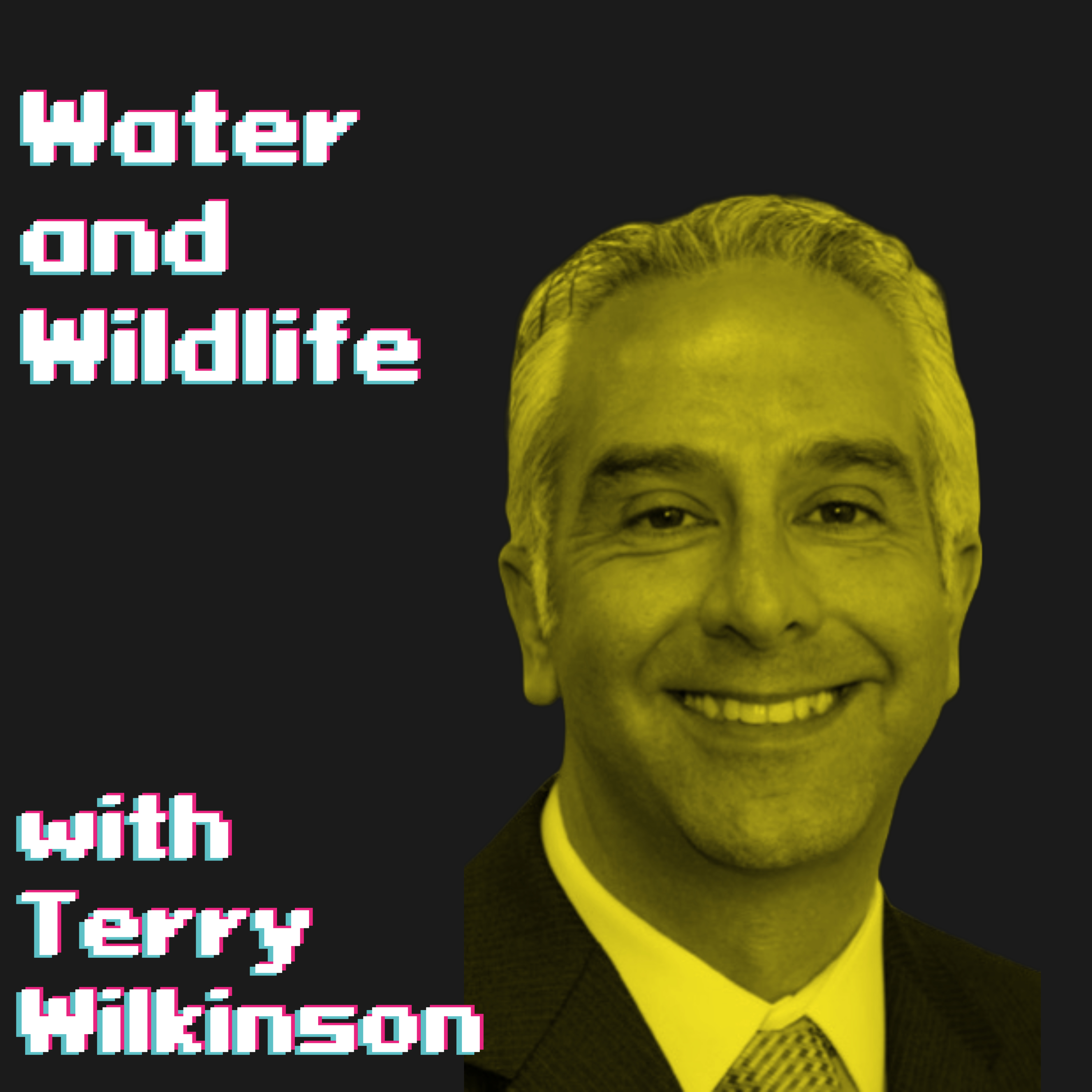 Water and Wildlife in Construction