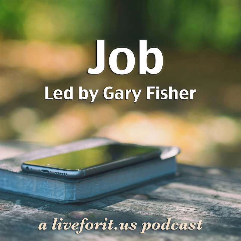 Artwork for podcast Liveforit Job Study