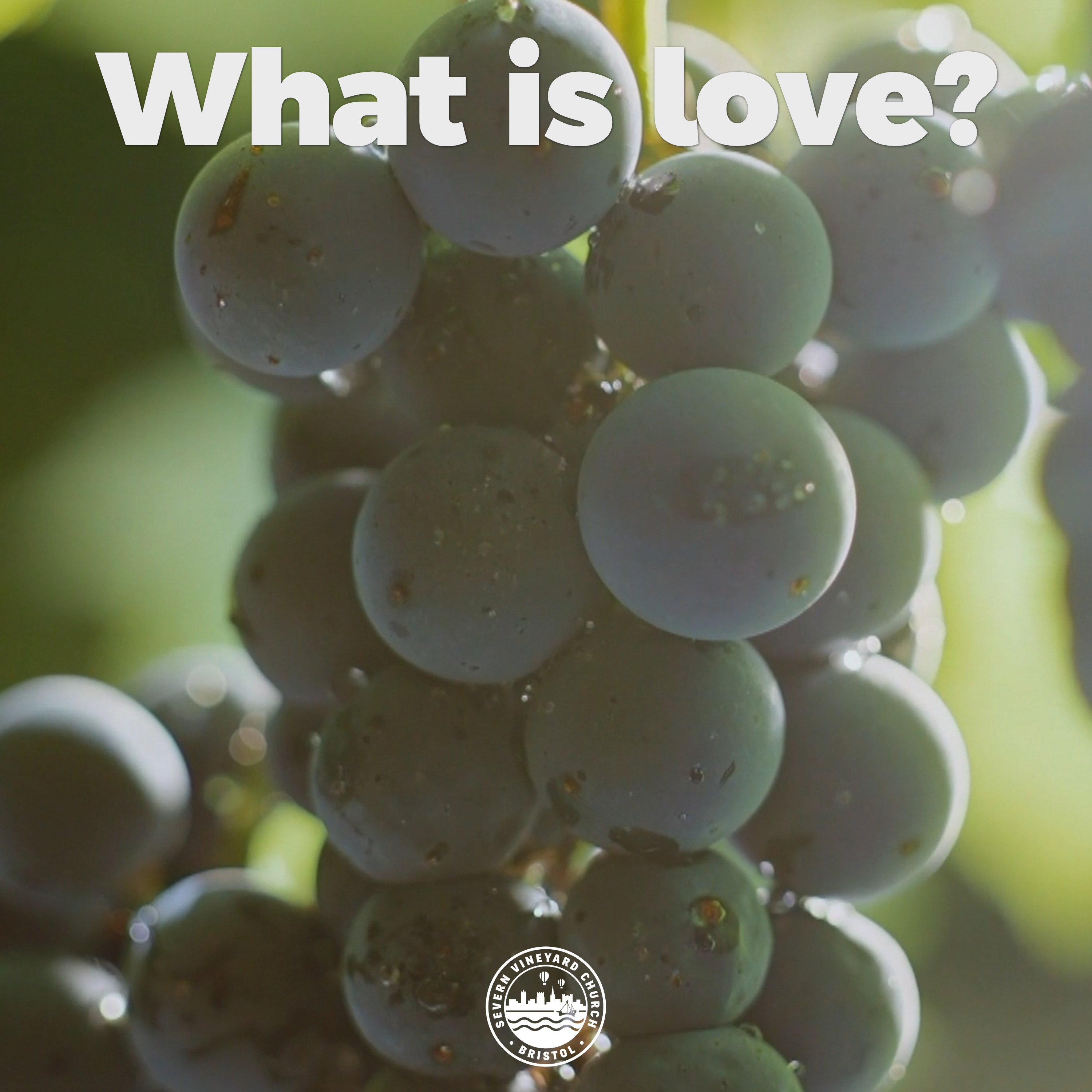 Severn Vineyard\'s All You Can Eat Buffet