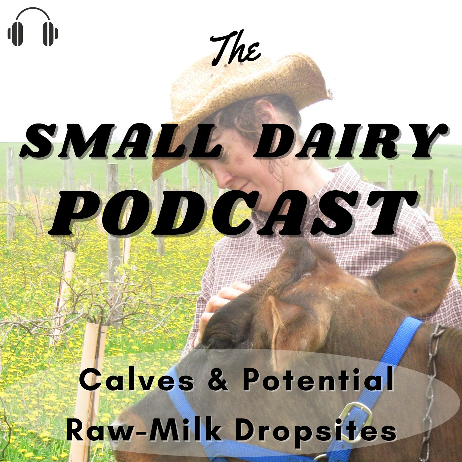 The Small Dairy Podcast