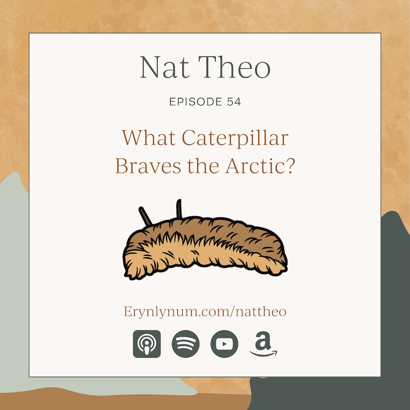 Artwork for podcast Nat Theo Nature Lessons Rooted in the Bible
