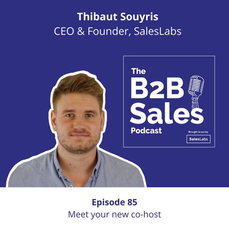 Artwork for podcast The B2B Sales Podcast
