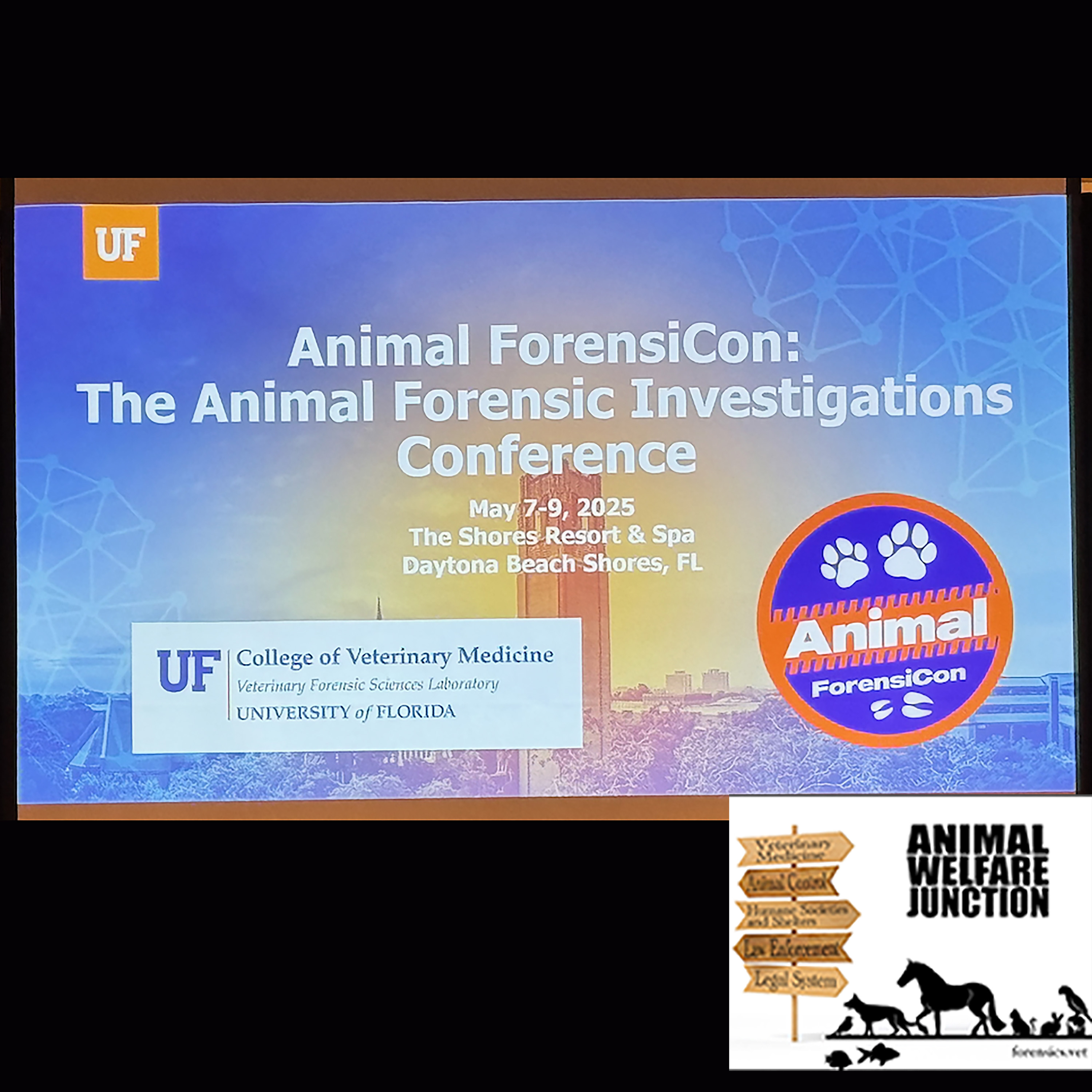 The Animal Welfare Junction