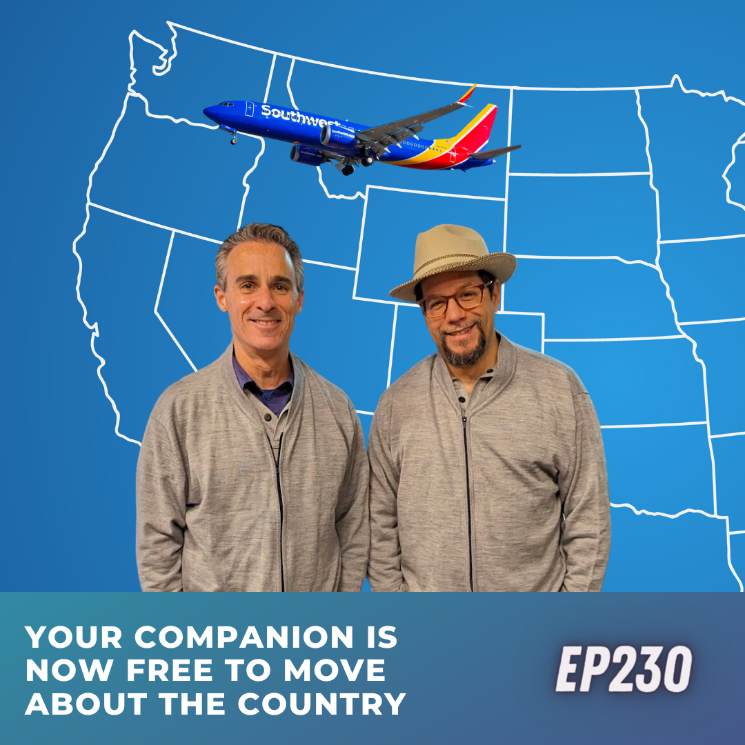 Your companion is now free to move about the country | Ep230 | 11-25-23
