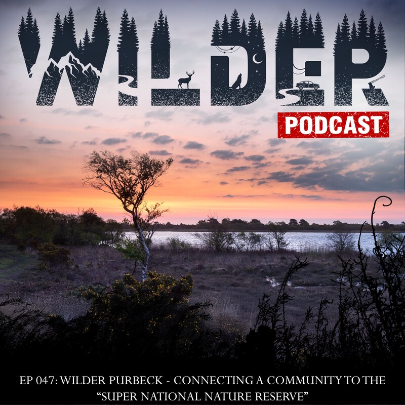 Artwork for podcast Wilder Podcast