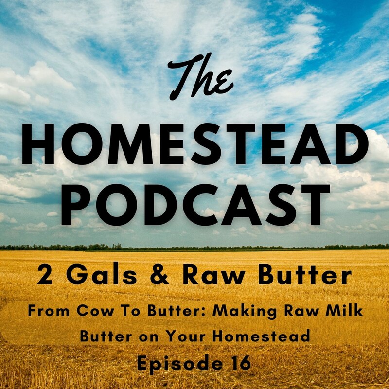 Artwork for podcast The Homestead Podcast