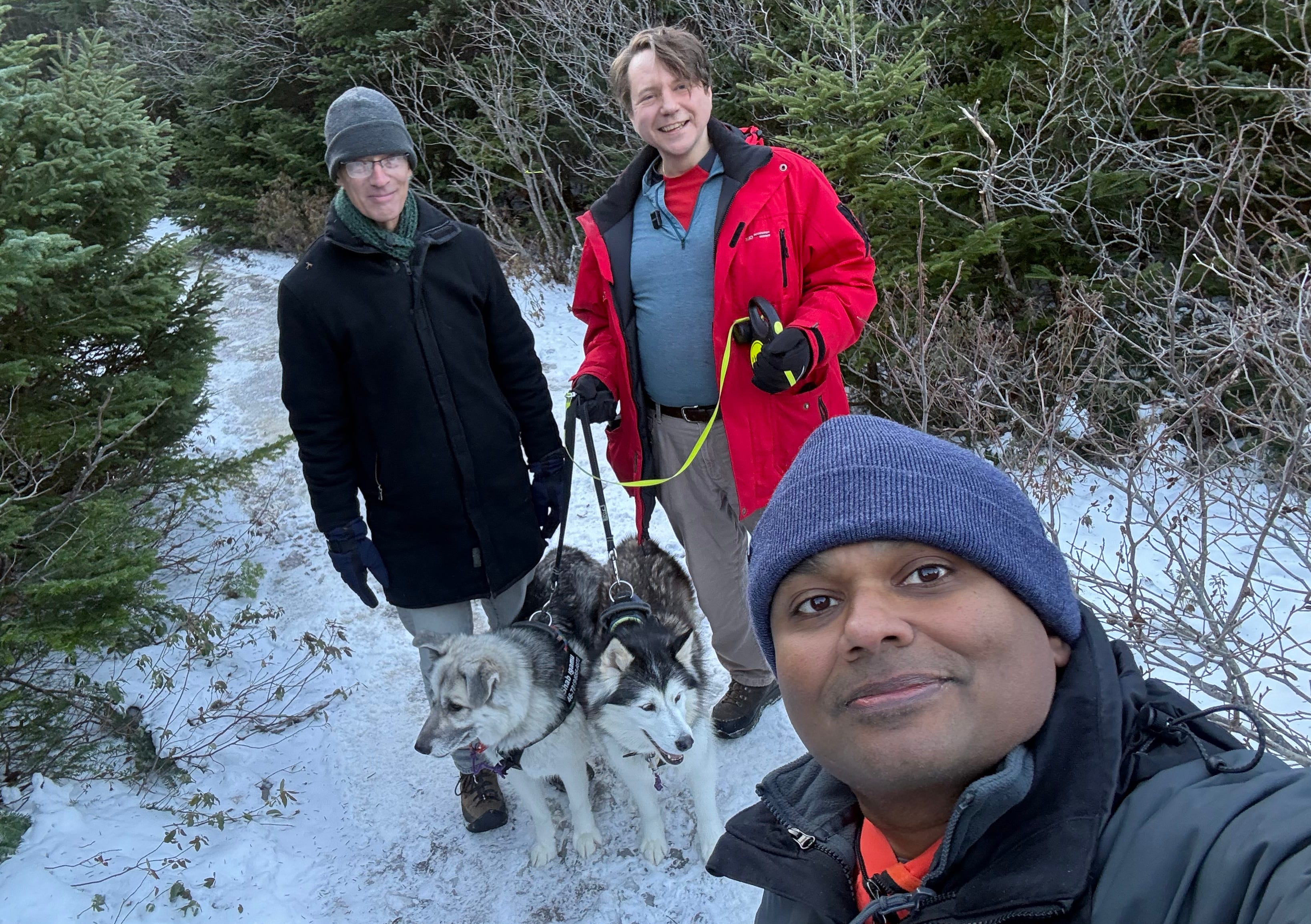 33. The Royal Anarcho-Geographic Society of Newfoundland