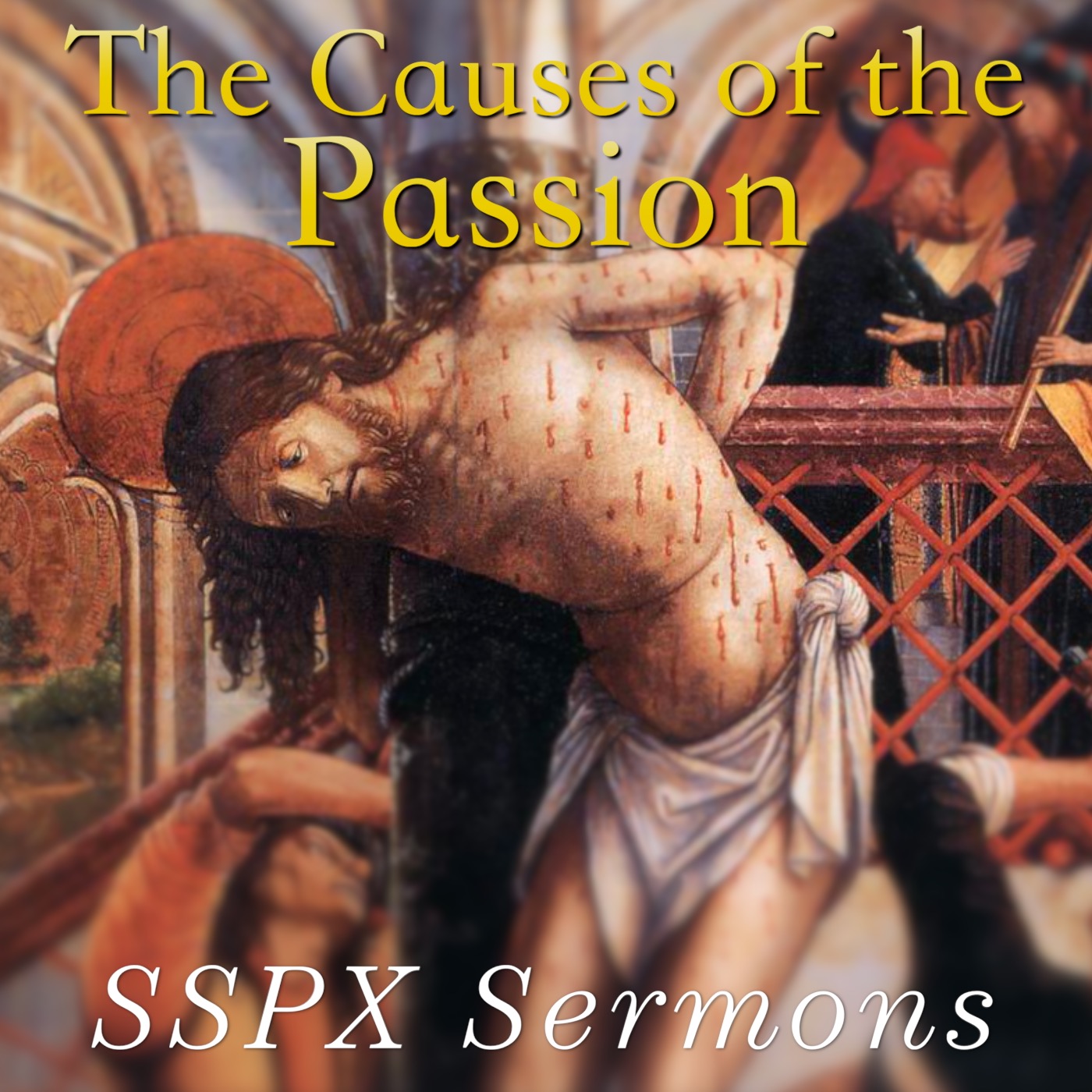 The Causes of the Passion - SSPX Sermons