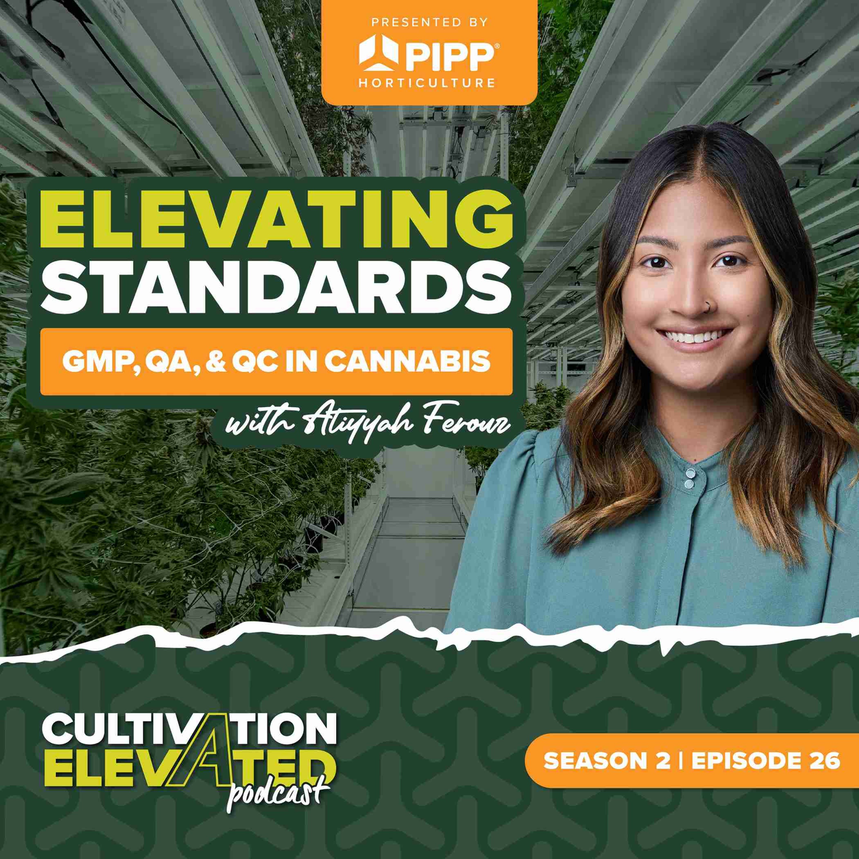 Cultivation Elevated - Indoor Farming, Cannabis Growers & Cultivators - Pipp Horticulture