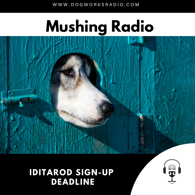 Iditarod Deadlines