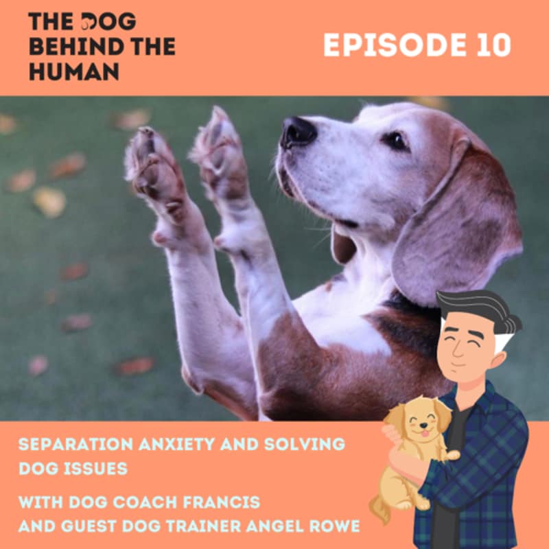 Artwork for podcast The Dog Behind The Human