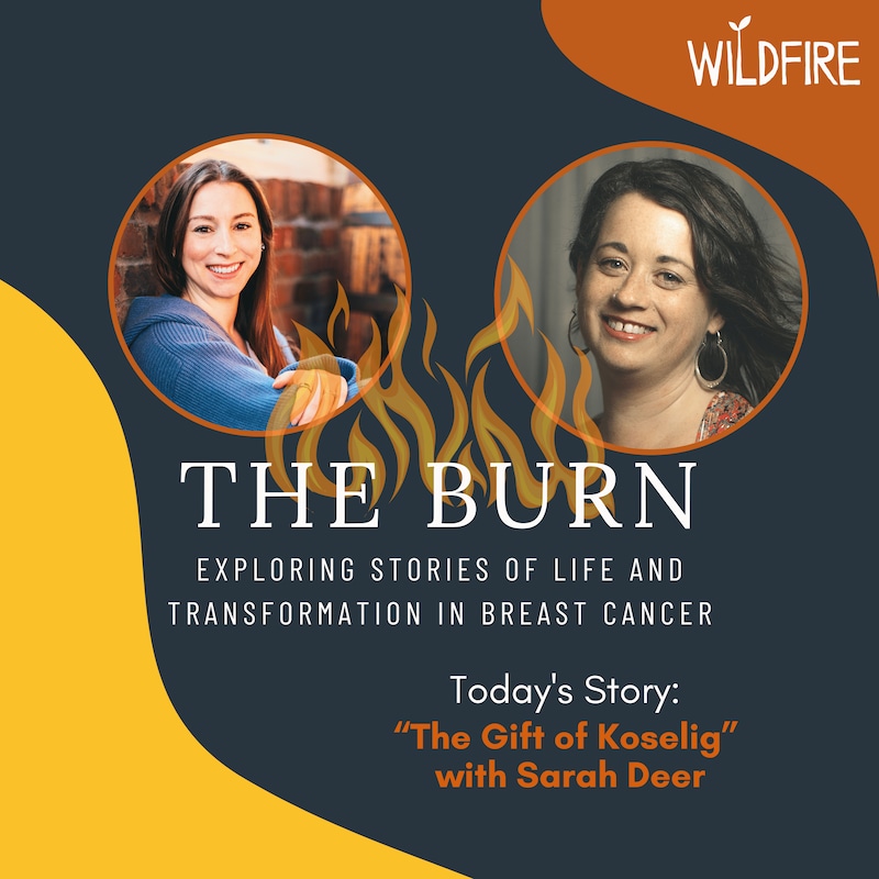 Artwork for podcast The Burn