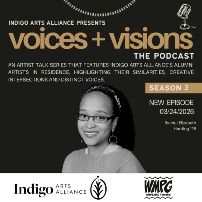 Artwork for podcast Voices + Visions: The Podcast
