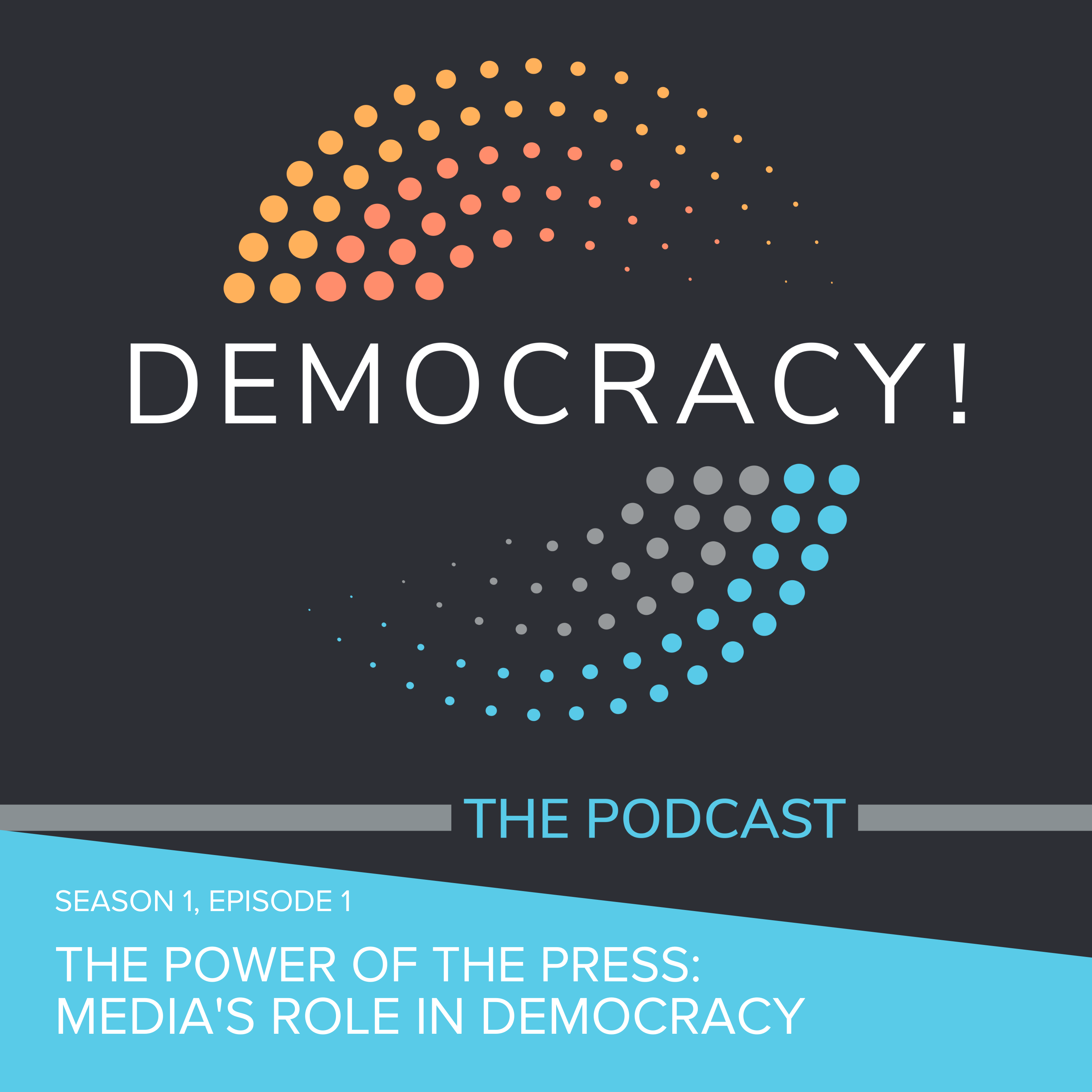 Artwork for podcast Democracy! The Podcast