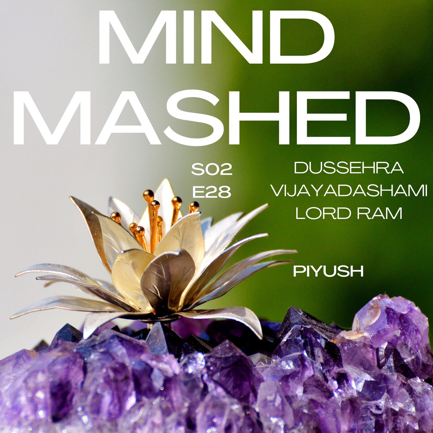 Mind Mashed - A Transformative Mindfulness & 5D Spirituality Podcast