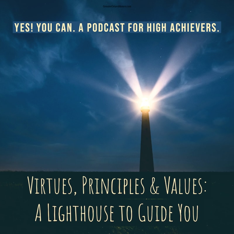 Artwork for podcast The Introverted Executive