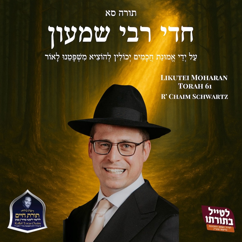Artwork for podcast Kollel Toras Chaim All Shiurim