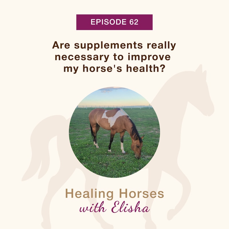 Artwork for podcast Healing Horses with Elisha