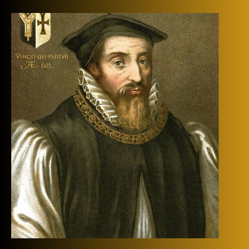 Artwork for podcast The Rise of the Protestants
