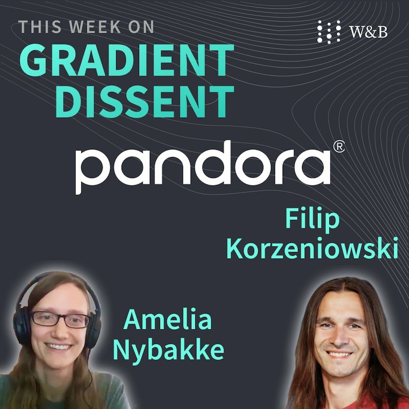 Artwork for podcast Gradient Dissent: Conversations on AI
