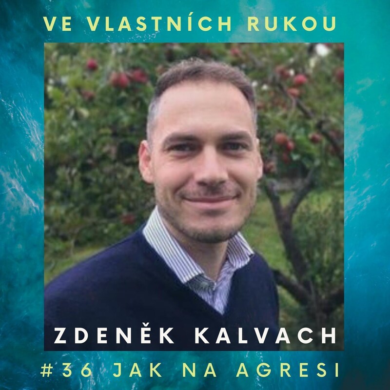 Artwork for podcast Ve vlastních rukou