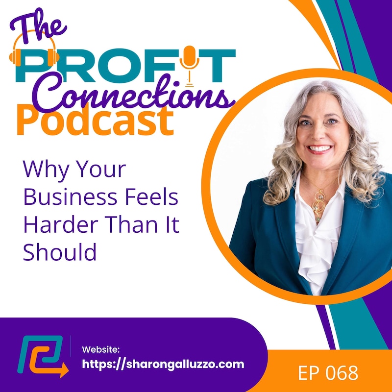 Artwork for podcast The Profit Connections Podcast