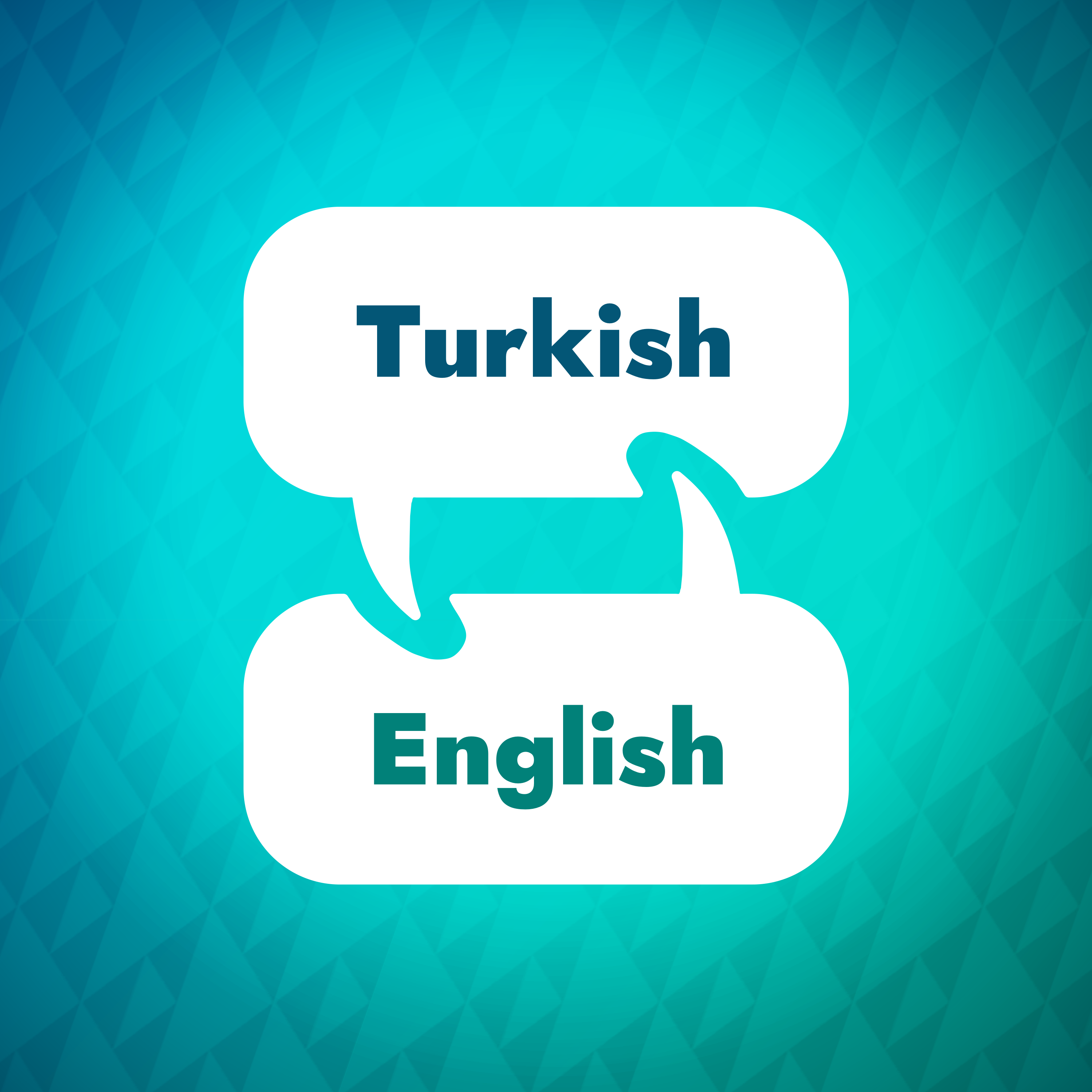 Artwork for Turkish Learning Accelerator