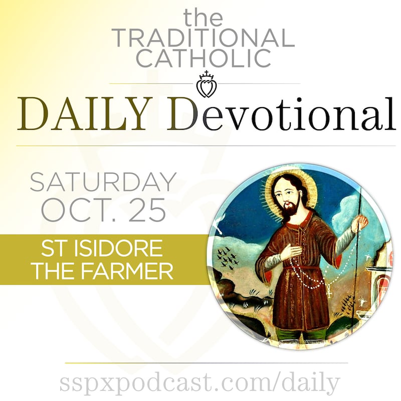Artwork for podcast Traditional Catholic Daily Devotional