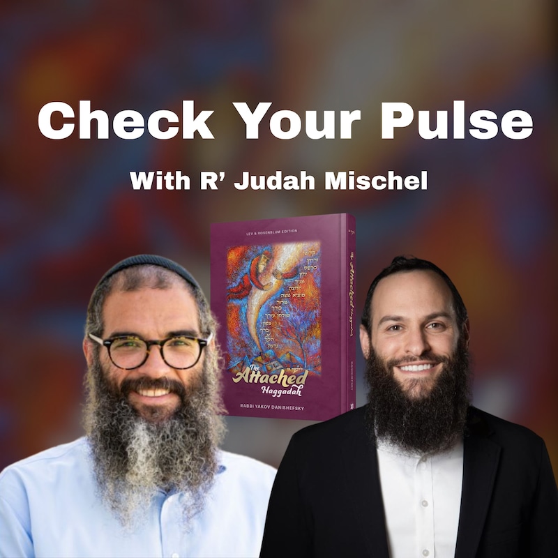 Artwork for podcast The Attached Life