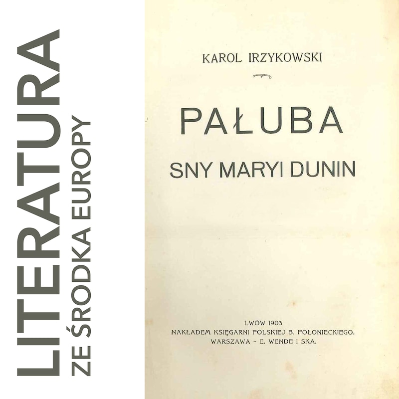 Artwork for podcast literatura ze środka Europy