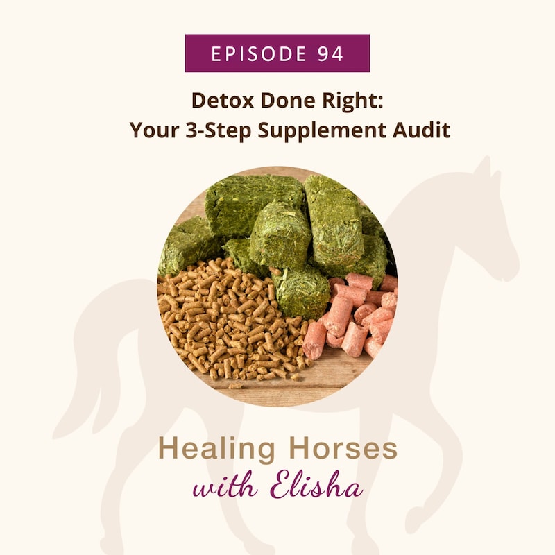 Artwork for podcast Healing Horses with Elisha