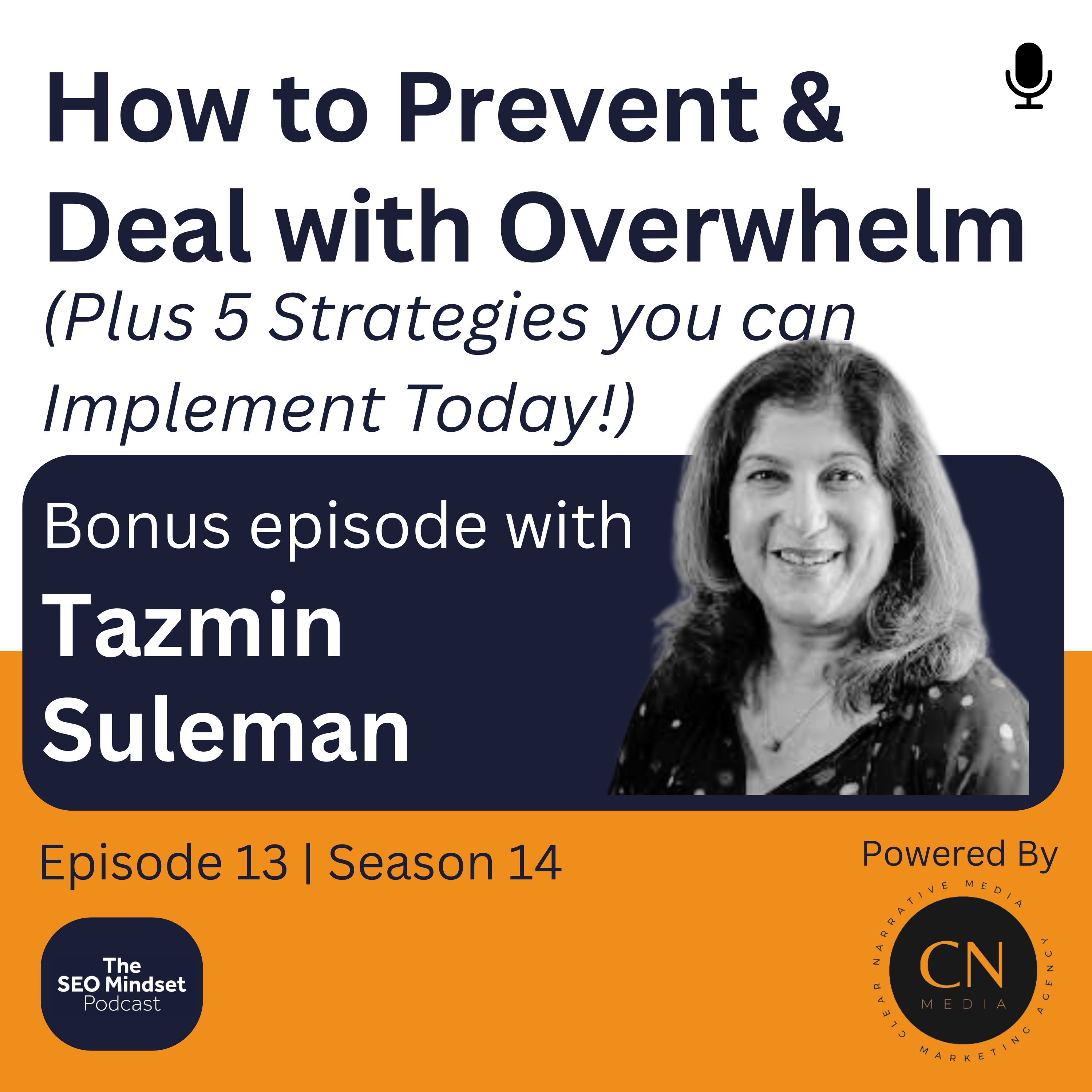 The SEO Mindset Podcast