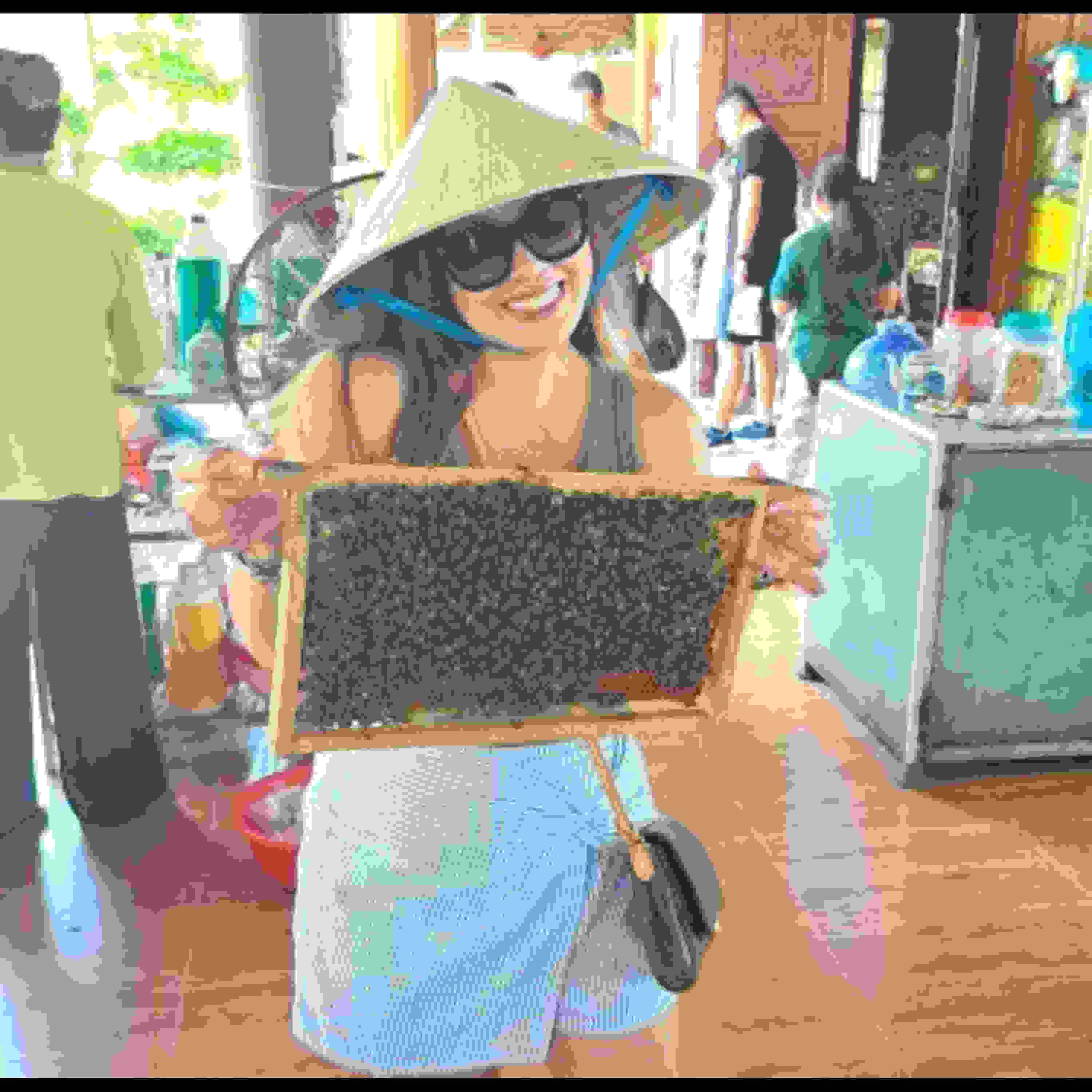 Bee Farms and Bamboo Pavilions: Delights of the Mekong Delta