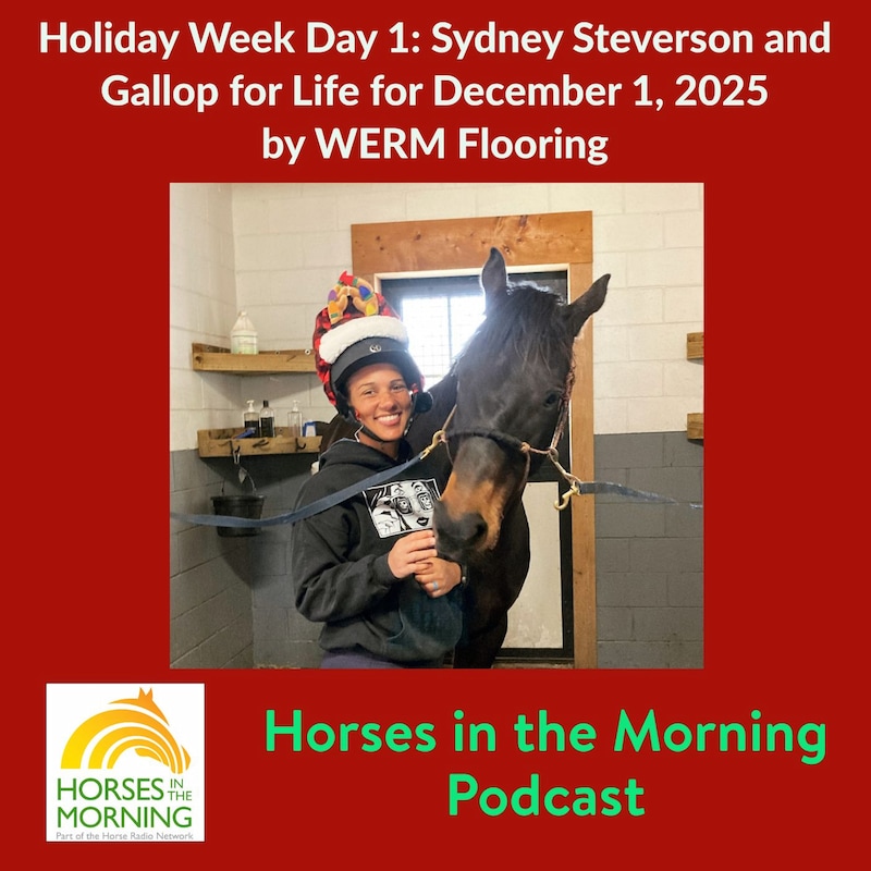 Artwork for podcast Horses in the Morning