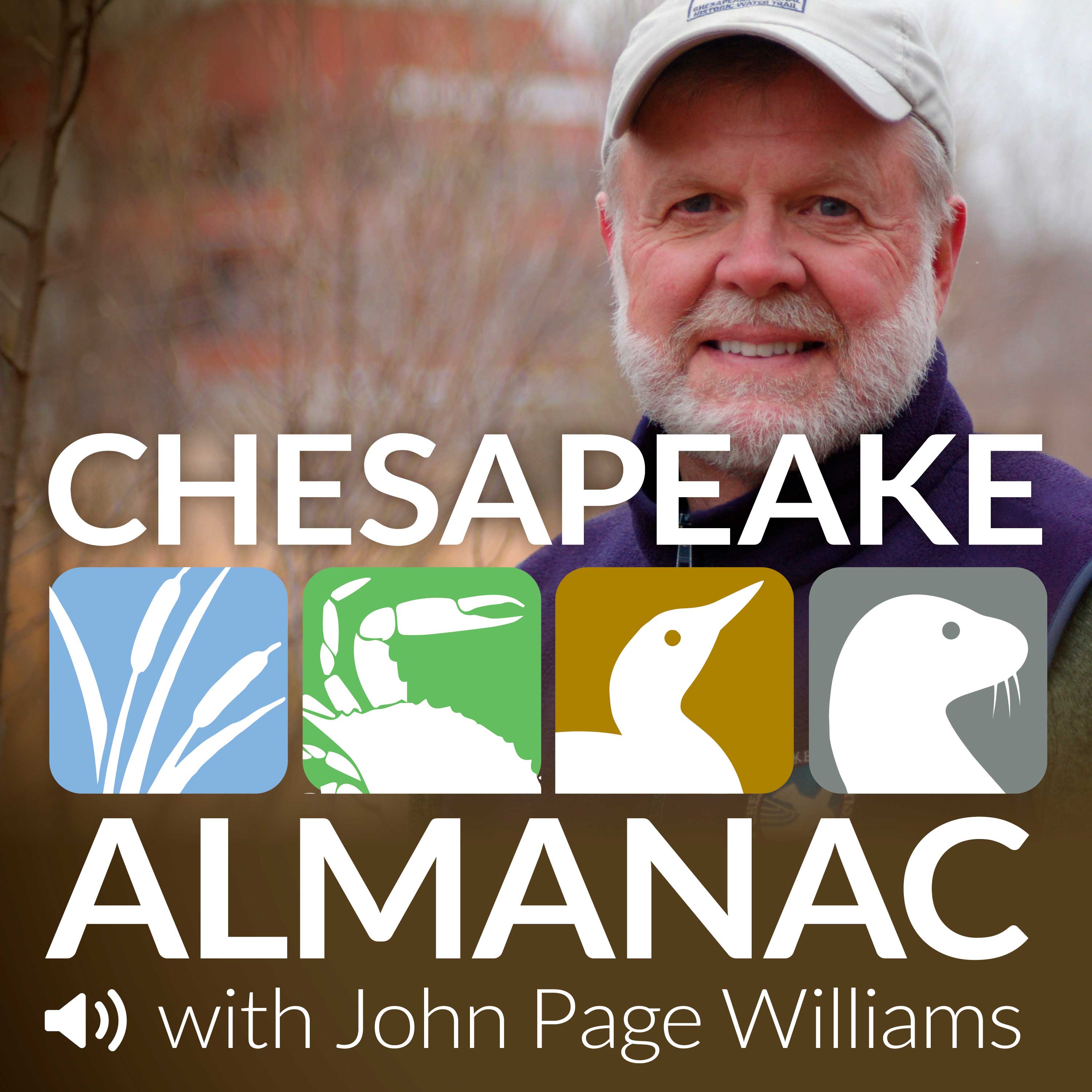 Artwork for Chesapeake Almanac