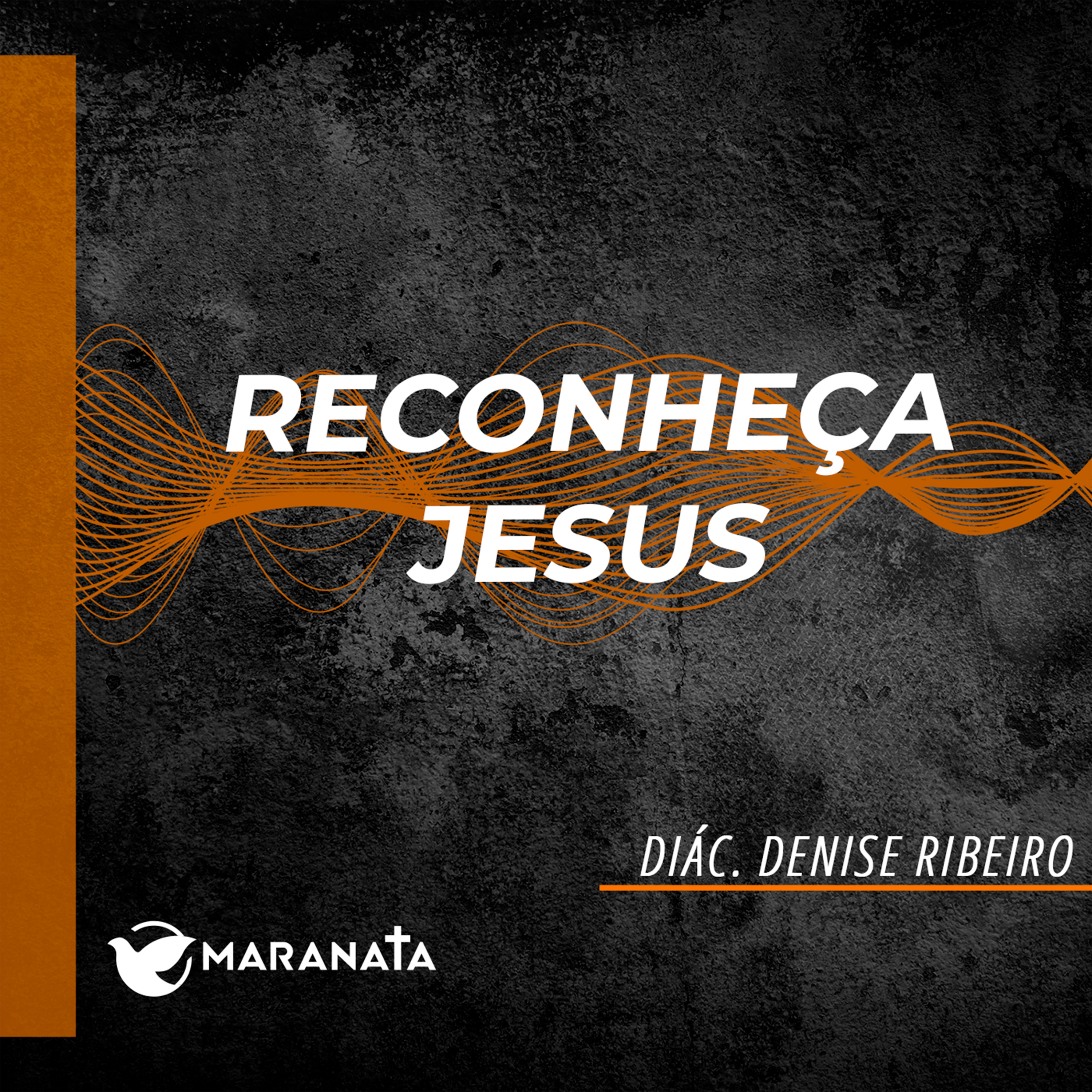 Reconheça Jesus - Diác. Denise Ribeiro