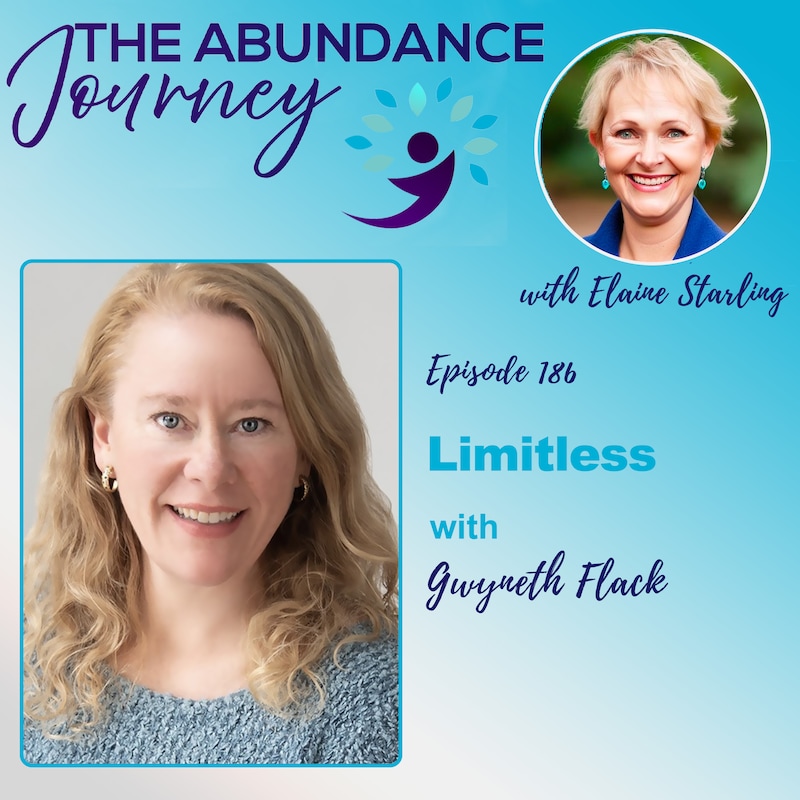 Artwork for podcast The Abundance Journey: Accelerating Revenue With An Abundance Mindset