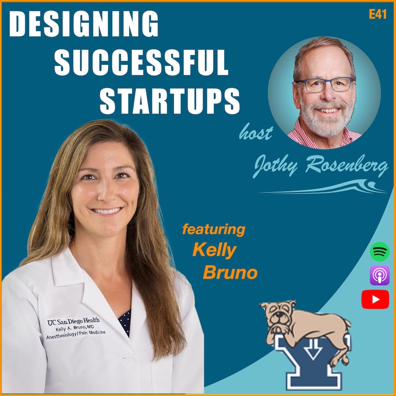 Artwork for podcast Designing Successful Startups