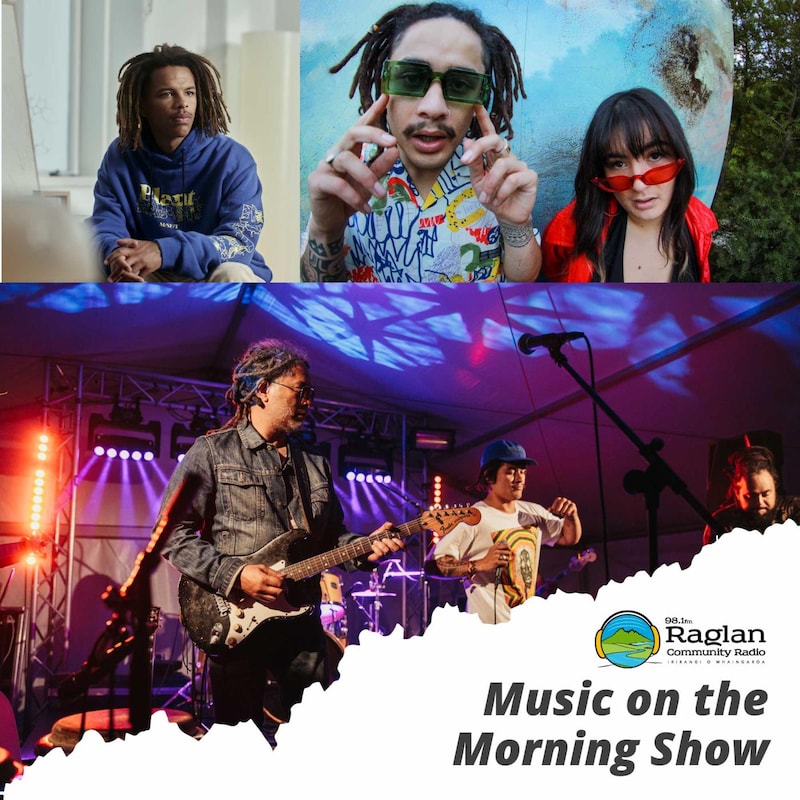 Artwork for podcast Raglan Music