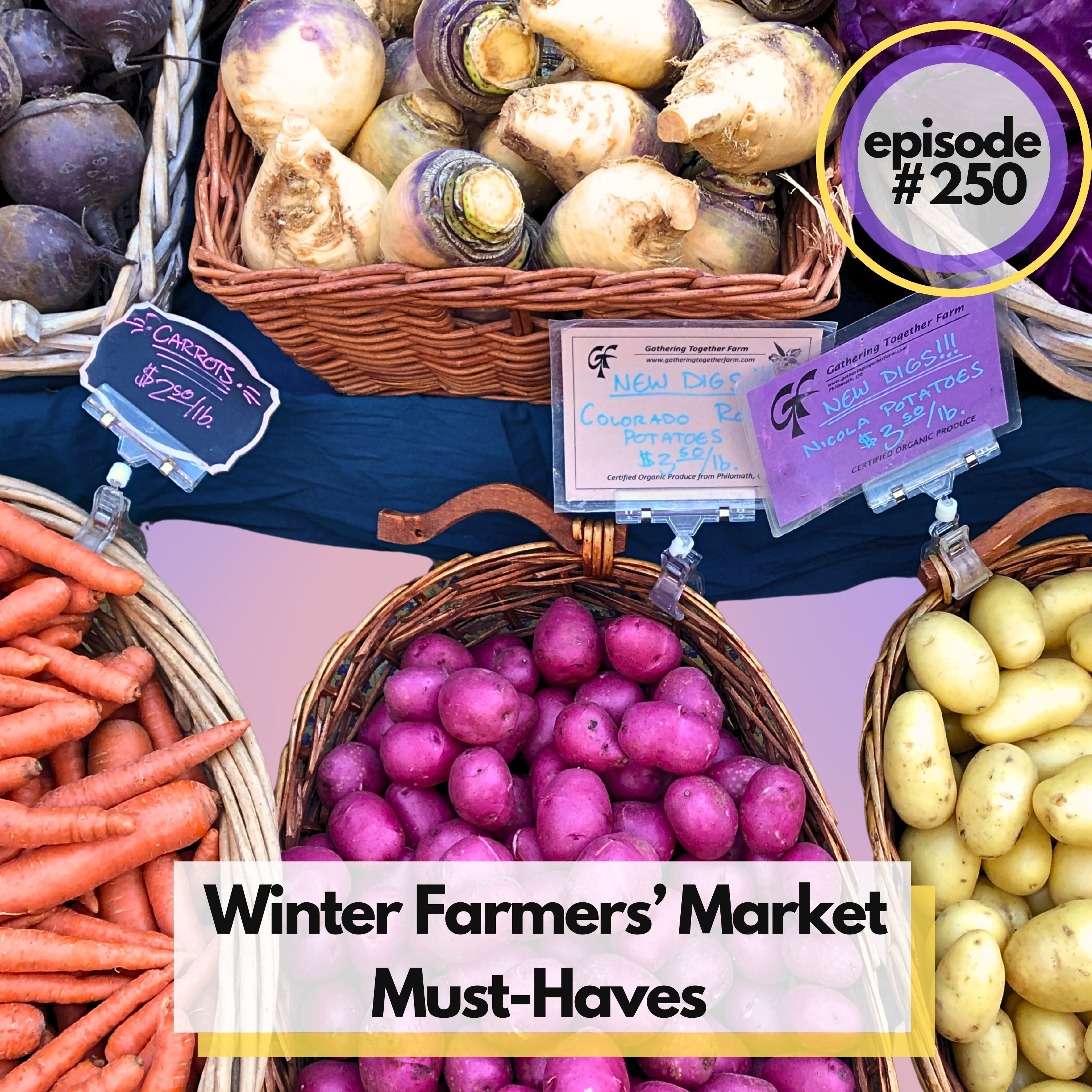 Winter Farmers’ Market Must-Haves! Our 10 Favorite Recipes for Seasonal Home Cooking
