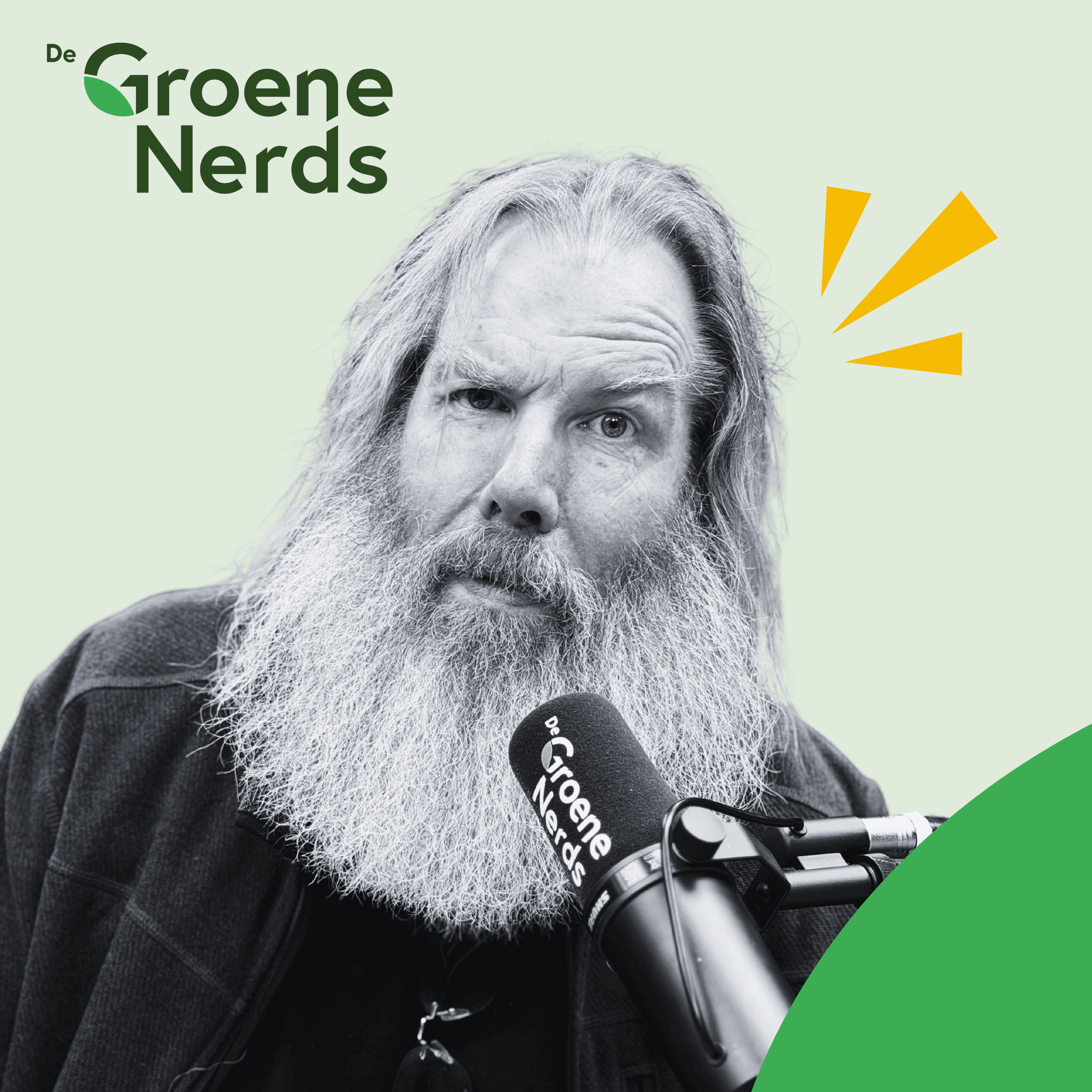 BATTERIJEN redden ons van NETCONGESTIE (met Auke Hoekstra)