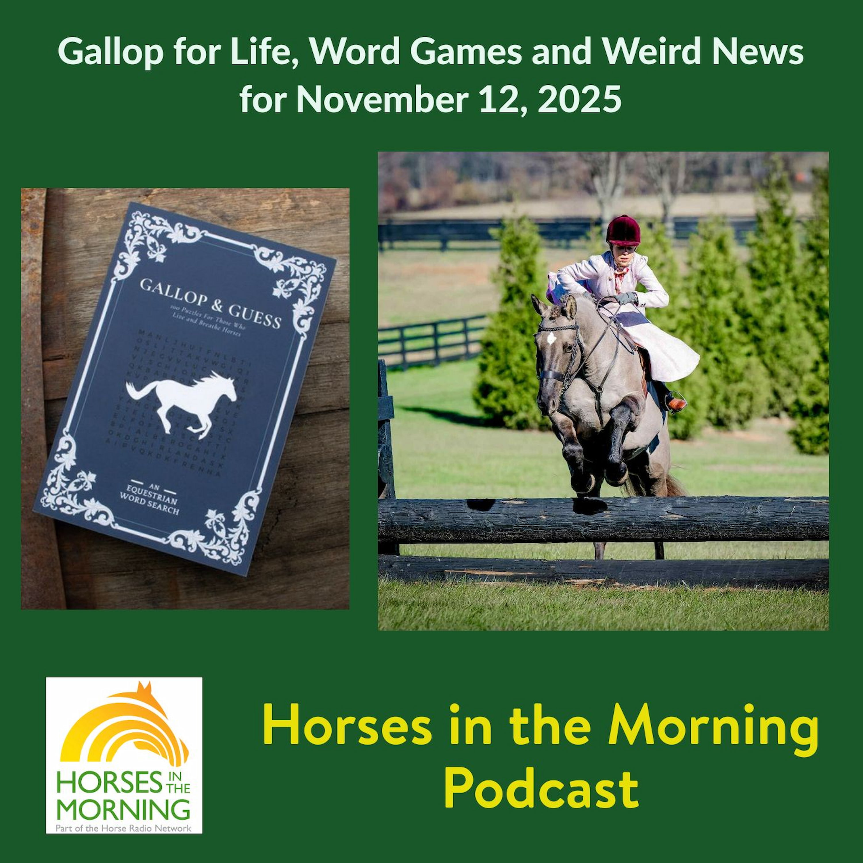 Gallop for Life, Word Games and Weird News for November 12, 2025 - HORSES IN THE MORNING