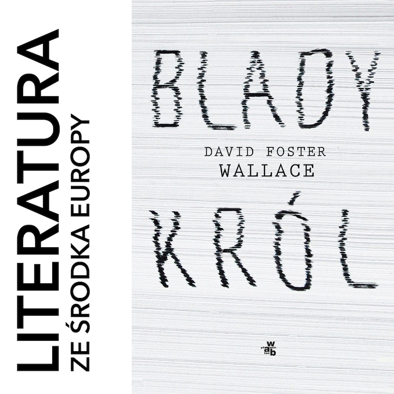 Artwork for podcast Literatura ze środka Europy