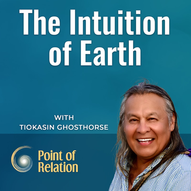 Artwork for podcast Point of Relation with Thomas Huebl