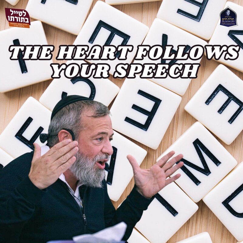 Artwork for podcast Kollel Toras Chaim All Shiurim