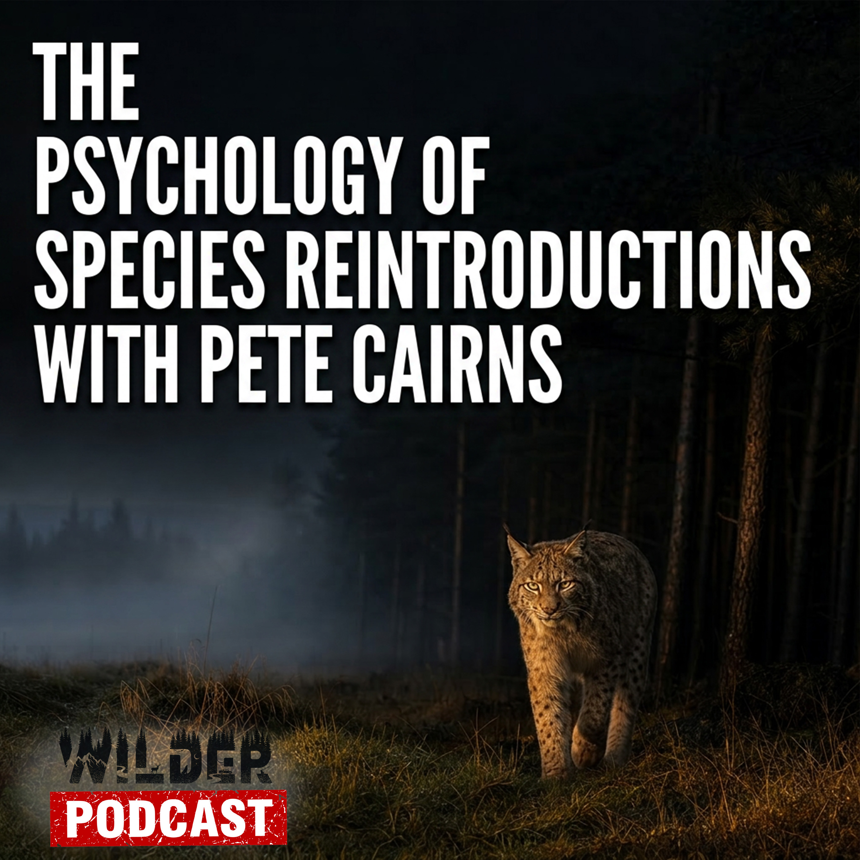 Ep. 054: The Psychology of Species Reintroductions with Pete Cairns episode artwork